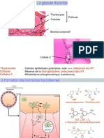 La glande thyroïde- Pr Bouanane