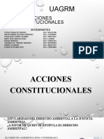Acciones Constitucionales-1