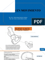 Movimientos de La Pelvis