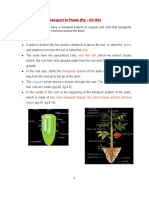 Transport in Plants