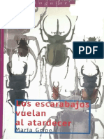 Escarabajos 1