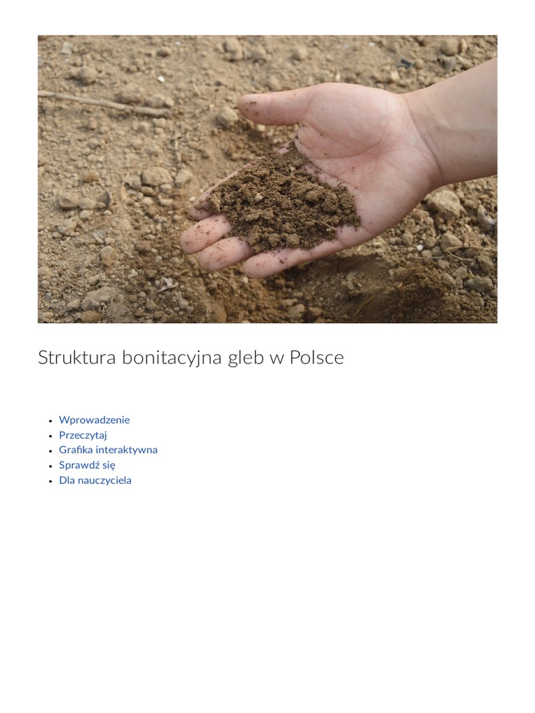 Struktura Bonitacyjna Gleb W Pol | PDF