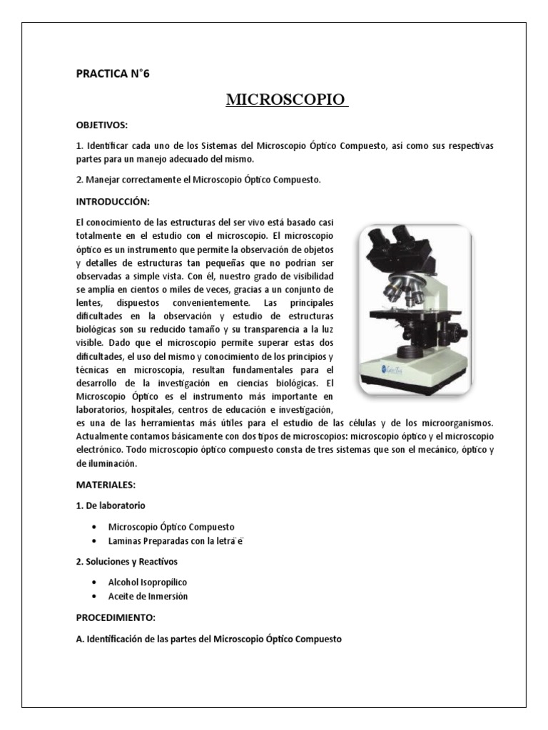 Partes De Un Microscopio óptico Compuesto Platina