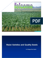 Maize Varieties and Quality Seeds [Compatibility Mode]