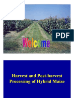 Processing of Maize SSA [Compatibility Mode]