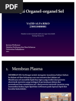 Download Fungsi Organel-Organel Sel by alfarico SN61594345 doc pdf