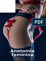 Modulo 3 - Anatomia Feminina