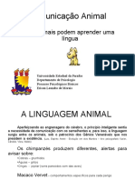 Comunicação Animal