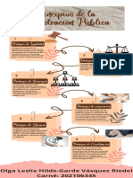 Infografía Principios de La Administración Publica