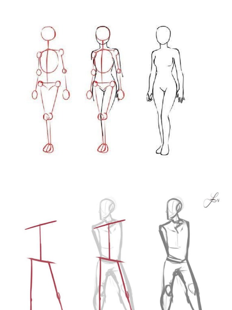 ANATOMIA PDF visual data 3