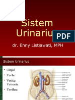 Sistem Urinarius