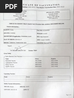 Vaccine Certificate