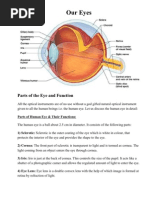 Parts of The Eye and Function