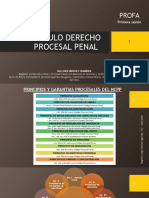 Derecho Procesal Penal