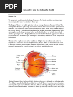 The Human Eye and The Colourful World