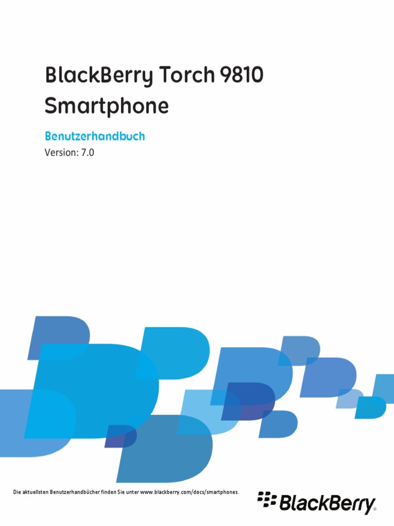 Benutzerhandbuch Torch 9810