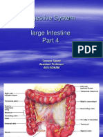 Digestive System LI Part 4