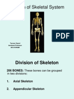 Division of Skeletal System