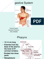 Digestive System: Anatomy and Functions of the Stomach