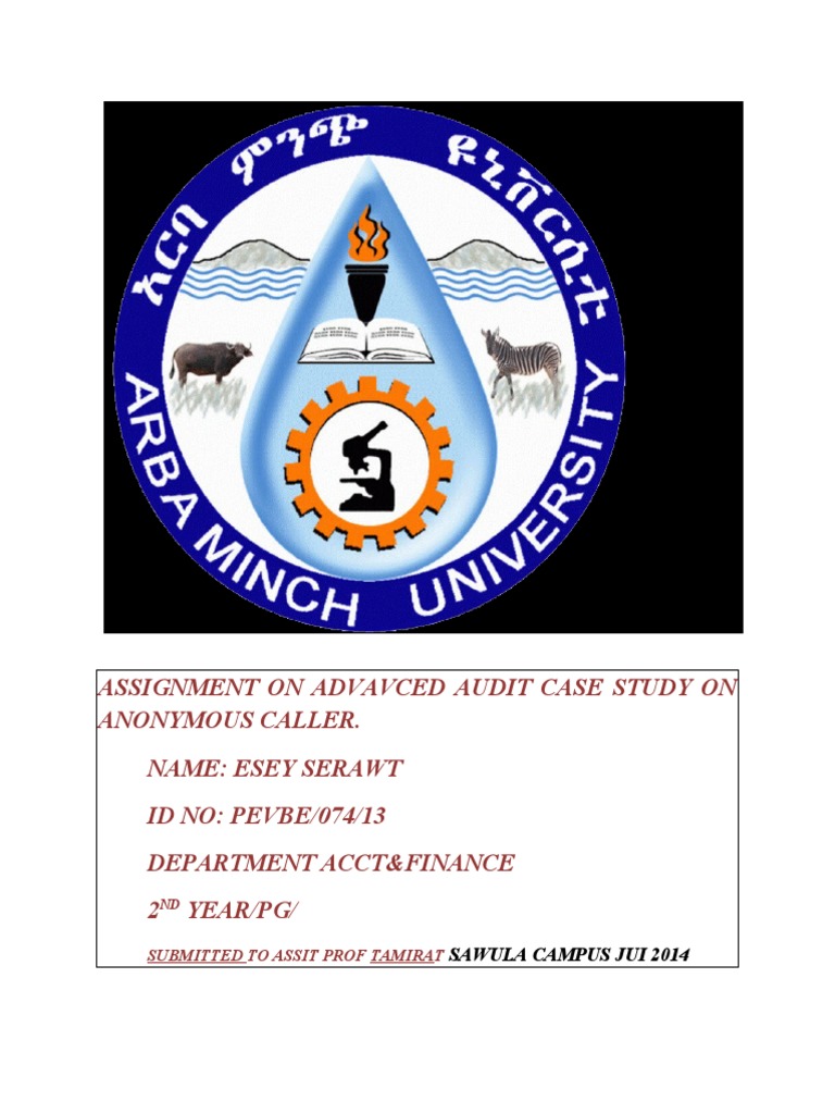 Assignment On Audit Case Study PDF