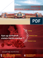 Sistem Kardiovaskuler