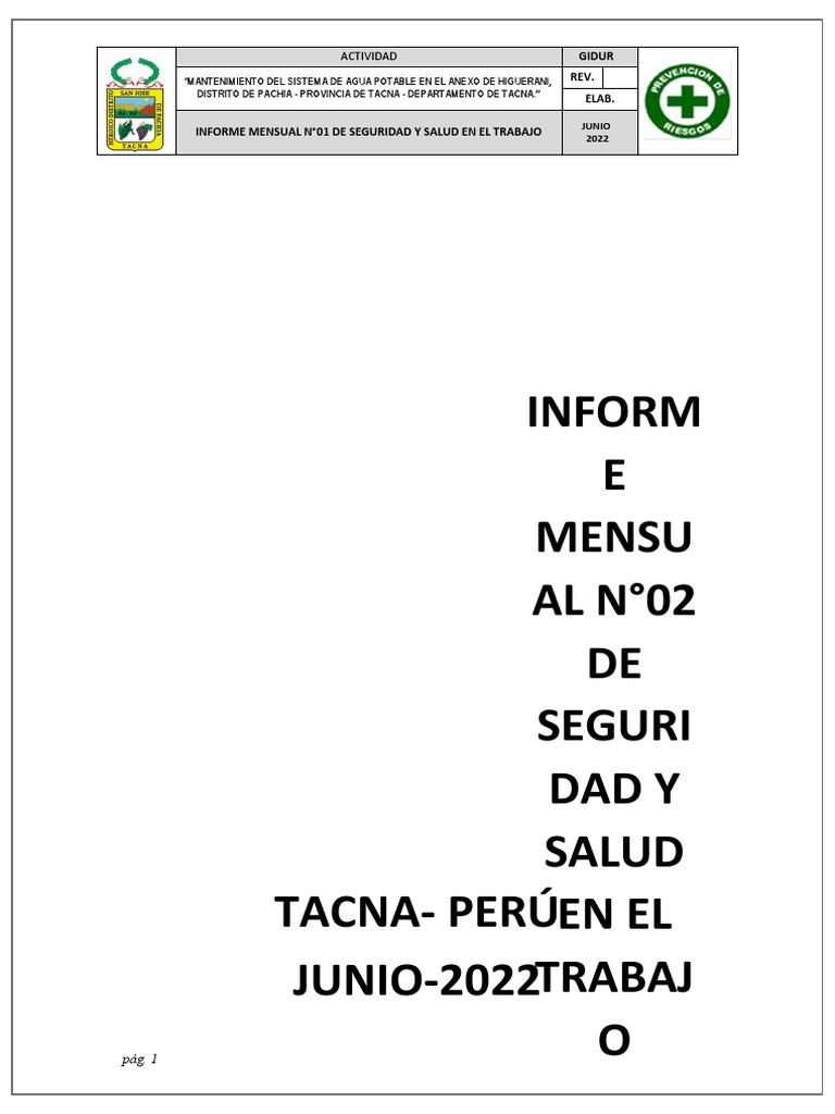 Informe Mensual de SST - Junio 2022 | PDF | Seguridad y salud ...