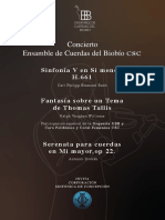 Afiche Concierto