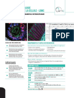 Web - LBMC - Fiche Labo - FR