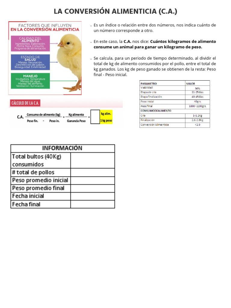 La Conversión Alimenticia | PDF