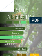 Mata Atlântica: Impactos Ambientais