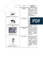 Actividad 1