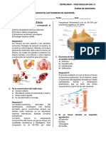 Seminario de Temarios Anatomia