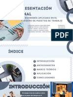 Trabajo Monagrafico - Ergonomia y Diseño de Puestos de Trabajo