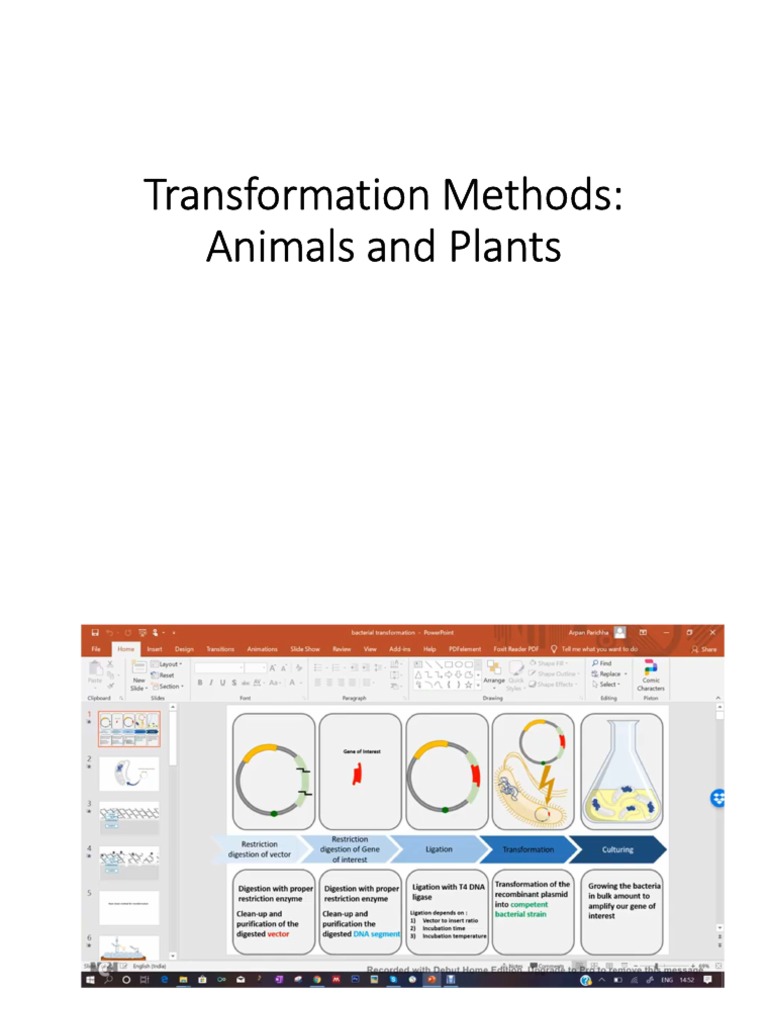 Transformation Methods PDF Transformation Cell (Biology)