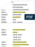 Kuliah 2 - Sarcomastigophora