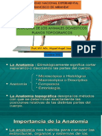 PLANOS TOPOGRAFICOS (1)