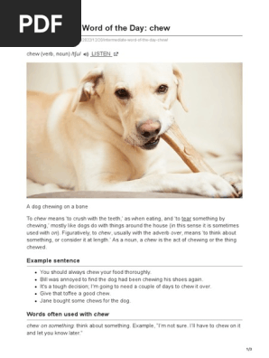 daily.wordreference.com-Intermediate Word of the Day chew (1)