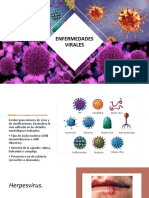 Enfermedades Virales: Principales Virus y Síntomas