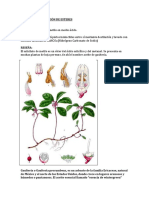 Sintesis y Purificación de Esteres.