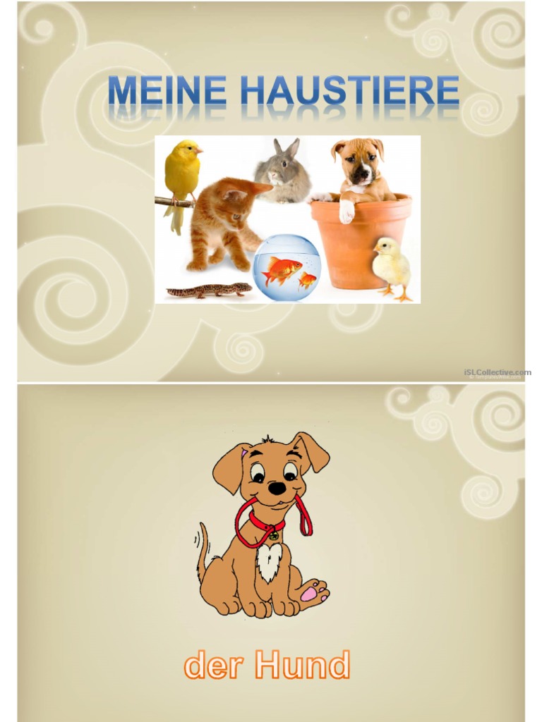 Meine Haustiere 2 PDF