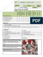 Trabajo Grupal - Informe de Laboratorio 1 (Extracción de ADN)