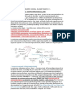 Bloque Tematico 2 Biologia