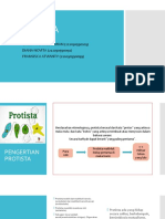 Kel 4 Protista