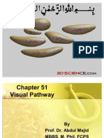 C 51 Visual Pathway