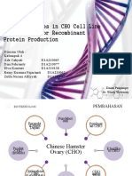 Presentasi UAS (Sel CHO) BIOTEKNOLOGI