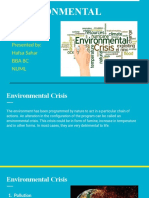 Environmental Crisis 