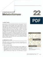 pürin-pirimidin metabolizması Lippincotts Biyokimya