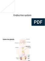 Endocrine - 1