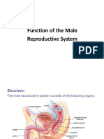 Reproductive L2