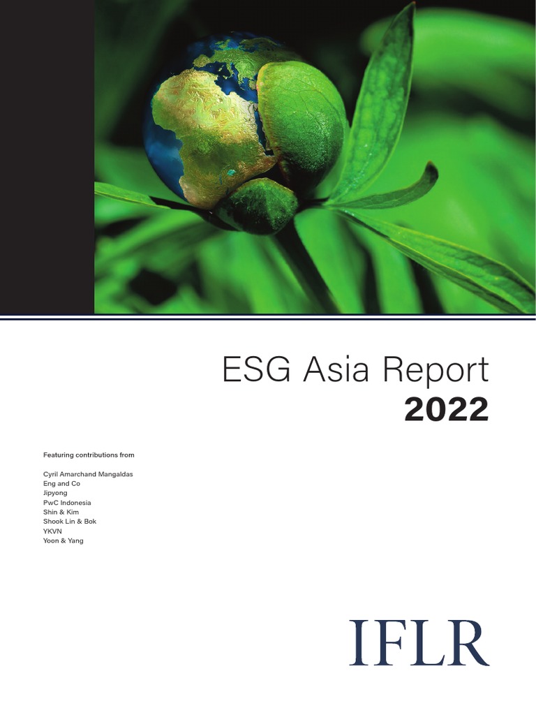 Vietnam Chapter Esg Asia Report 2022 Pdf Vietnam Sustainability